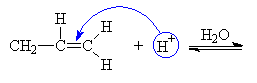 Vodkov kation H+se napojuje na dvojnou vazbu dle Markovnikova pravidla pes tzv. p komplex. 