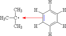 t-butyl cation + benzene