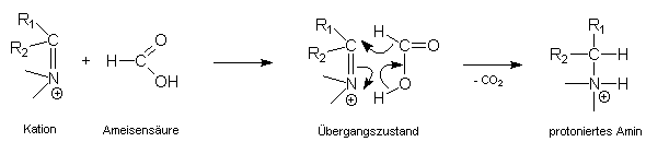 Bildung des cyclischen bergangszustandes