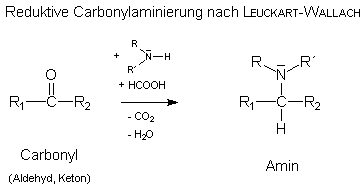 bersichtsbild: Leuckart-Wallach-Reaktion