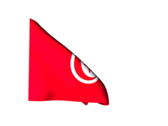 Tunisian_flag 